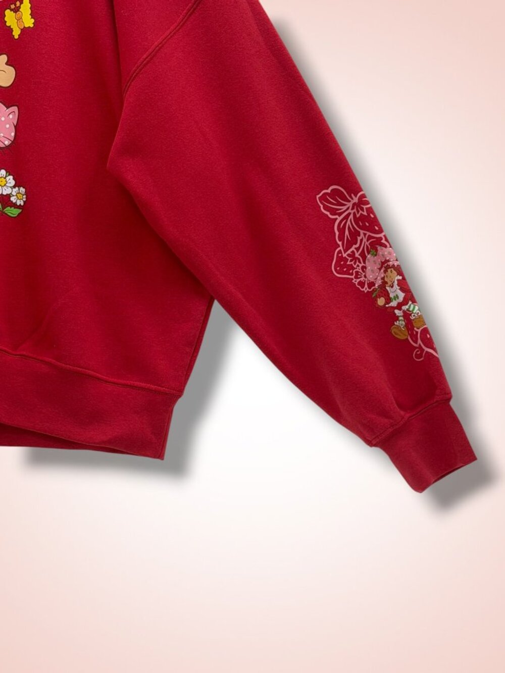 Strawberry Shortcake 2025 Graphic Fleece‎ Lined Sweatshirt XL - Picture 3 of 6